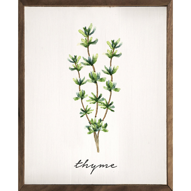 Thym blanc aux herbes Series, H 40 po x l 32 po