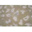 Hand-Knotted High-Quality Beige Area Rug