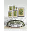 Common Grape Vine - reproduction de cadre photo-97493389