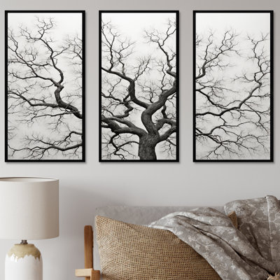 Minimalisme noir et blanc, arbres chêne I - ensemble de reproductions d'art mural chêne