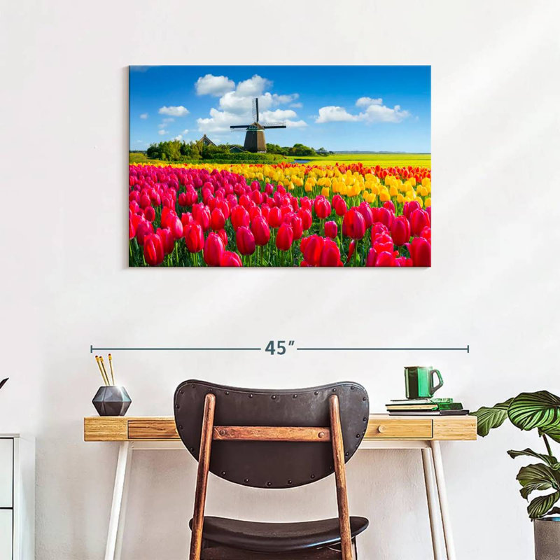Alvord Holland Tulip Field, 24" H x 36" W
