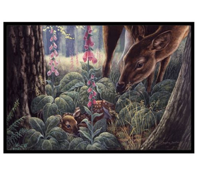 Paillasson d’extérieur antidérapant à biche et fauve Waukegan