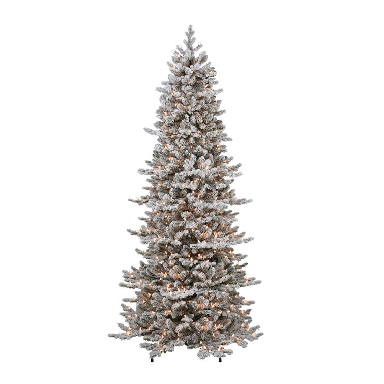 The Holiday Aisle® 7.5' Lighted Fir Christmas Tree & Reviews