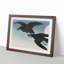 Crows at Full Moon by Ohara Koson - Framed Print-55490400-55490401