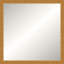 Alden Solid Wood Framed Wall Mirror-1650354414-1673418155