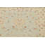 Tapis de couloir oriental Peshawar Chobi