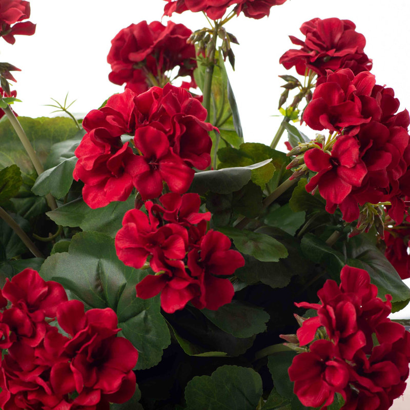 Silk Geranium Arrangement in Pot