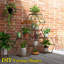 Support à plantes hexagonal 7 niveaux, tablette pour plantes d'intérieur et d'extérieur, grand support en pot à 7 niveaux pour plusieurs plantes