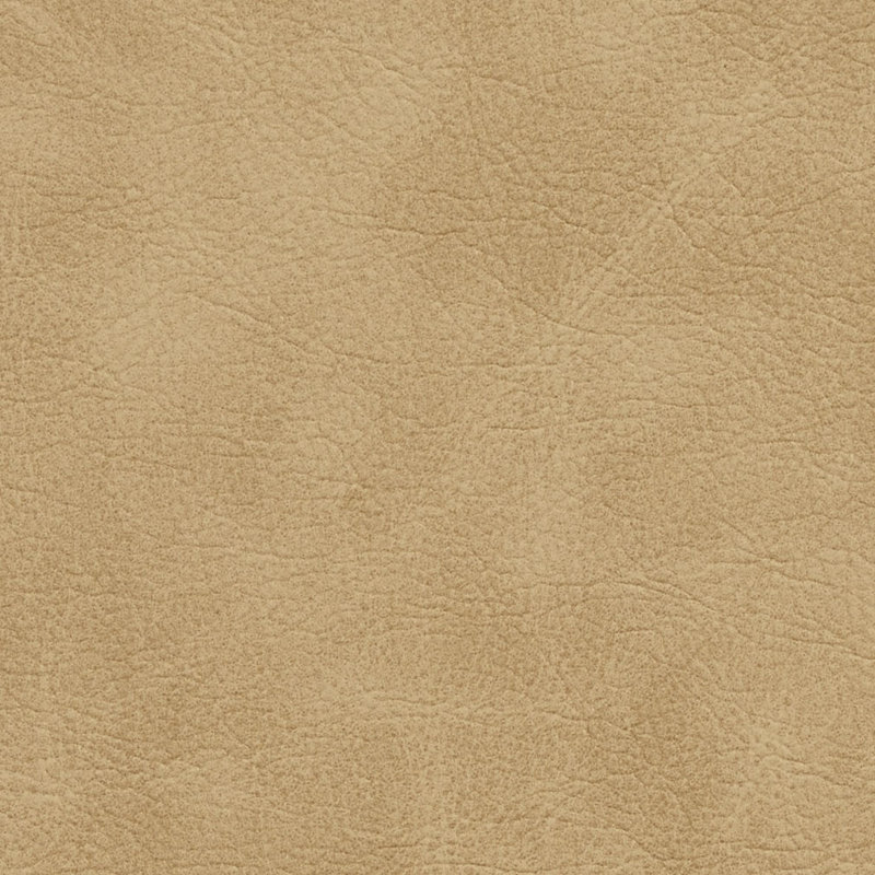 Emu lisse, Cappuccino