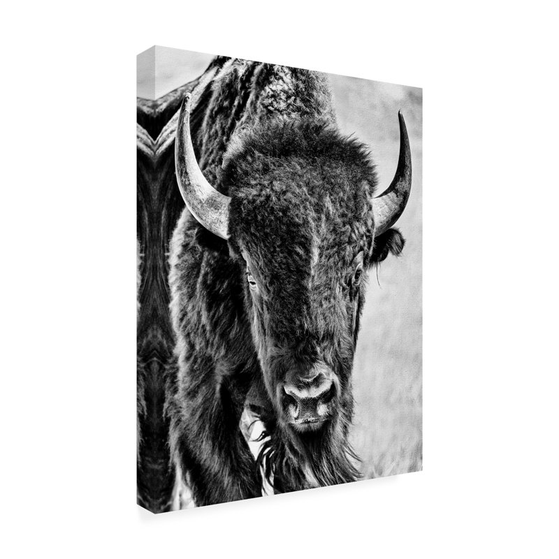 Phburchett, «Buffalo Portrait», art sur toile, H 19 po x l 14 po