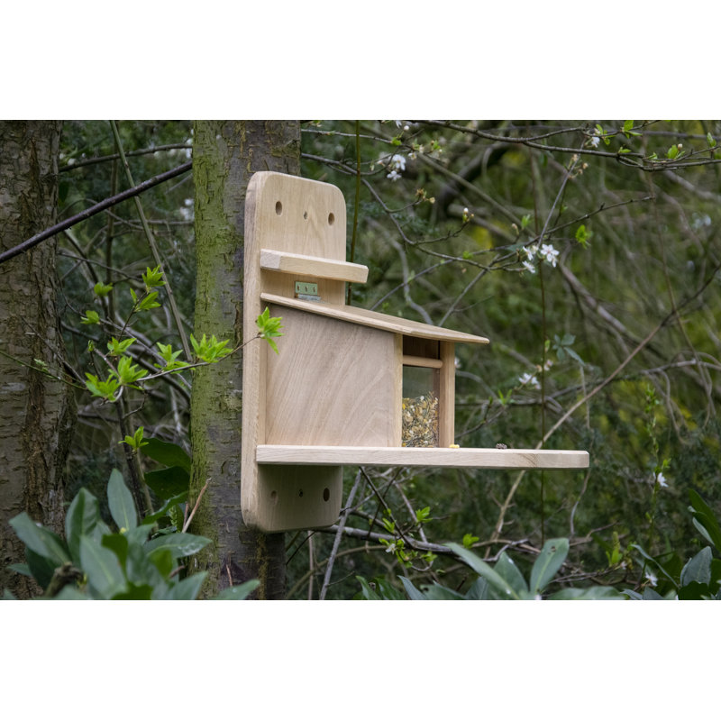 Amoha Hanging Squirrel Bird Feeder
