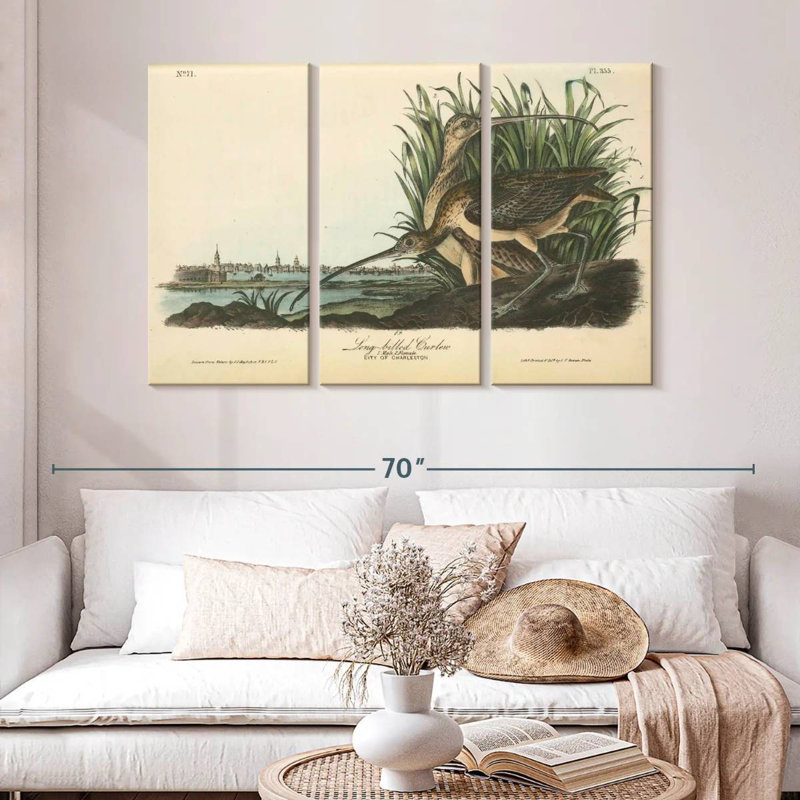 Brampt Long-Billed Curlew, 32" H x 50" W
