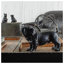 Figurine Rollinsville