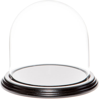 Vucciria Glass Display Dome Cloche