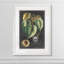 « royal feuillage i » par paul cezanne-photo-cadre, reproduction d’art-1507688409-1507688408