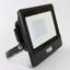 Amie-Leigh Flood Light