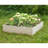 Dorgan Wood Planter Box
