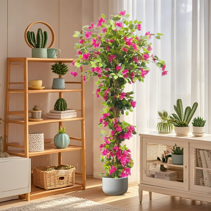 185cm Plant