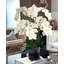 Blooming Orchid in Vase-931651917