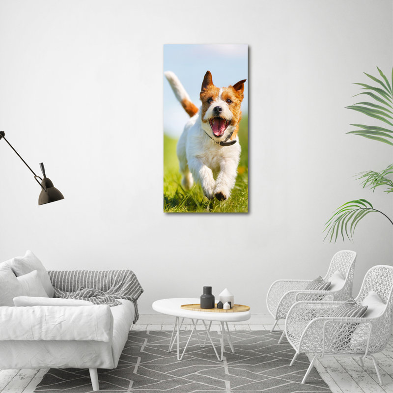 Dog Jack Russell - Wrapped Canvas Print