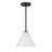 Hashimoto 1-Light Mini-Pendant or Semi-Flush in Matte Black-1145951839