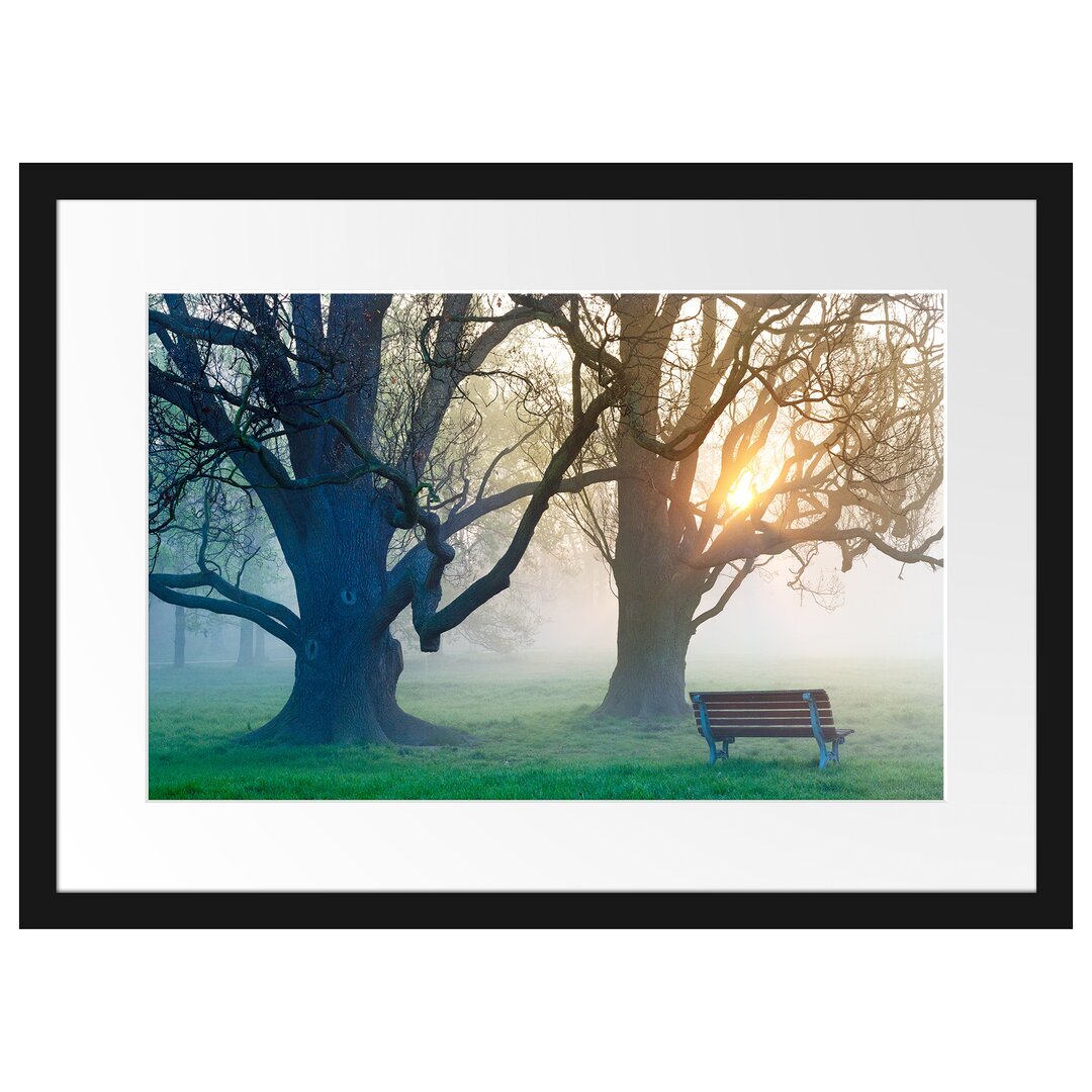 Gerahmtes Poster Baum und Bank im Nebel