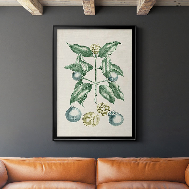 Buchoz Tropicals VII, reproduction d'art encadrée, Noir, H 30,5 po x l 22,5 po x P 1 po