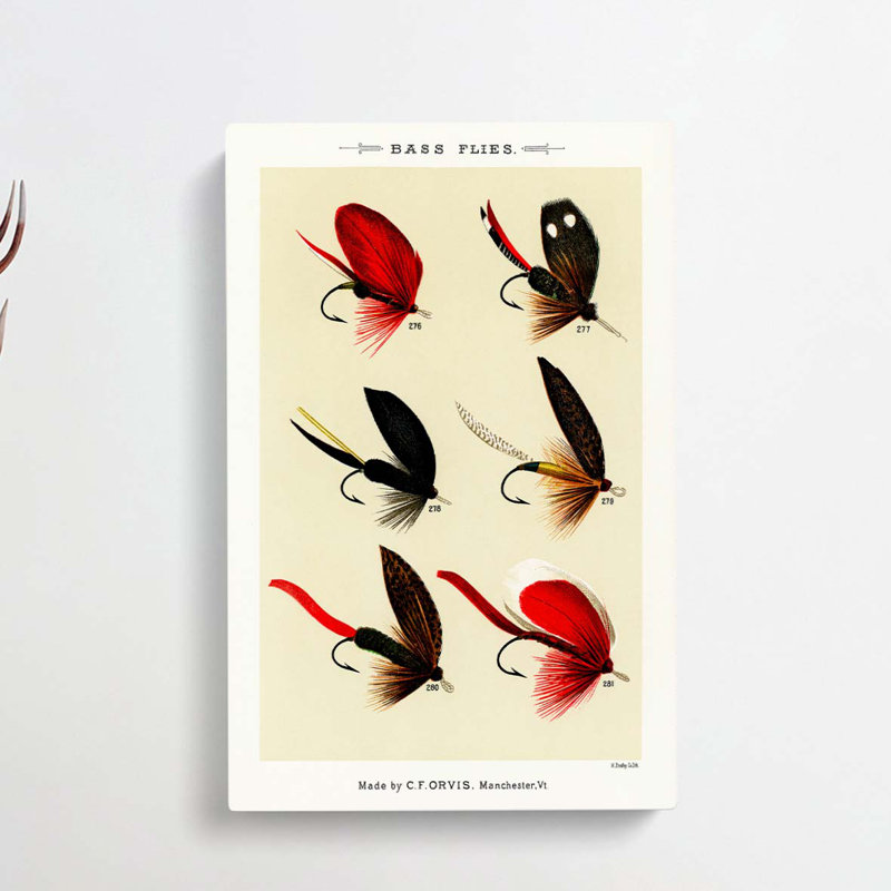 Bass Fishing Flies Versions 3 by Mary Orvis Marbury - Wrapped Canvas Painting, 60cm H x 40cm W x 3cm D