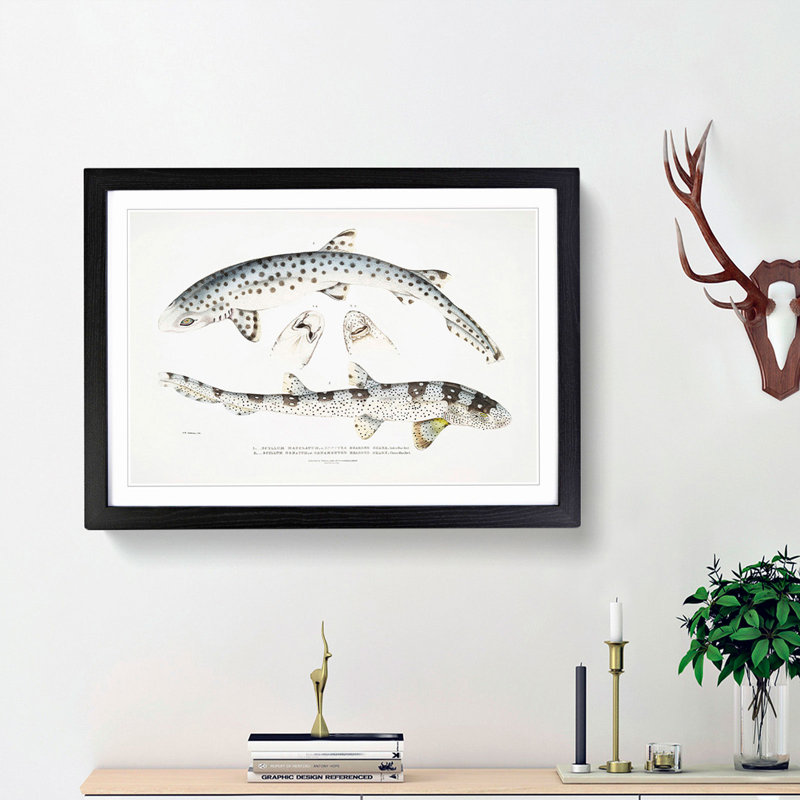 Bearded Sharks 1 Piece Single Picture Frame Wall Art, 24cm H x 33cm W x 2cm D, Black Framed
