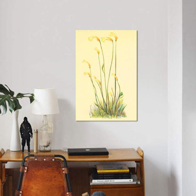 Collection One One Flowered Root par PI - Impression sur toile tendue sur châssis