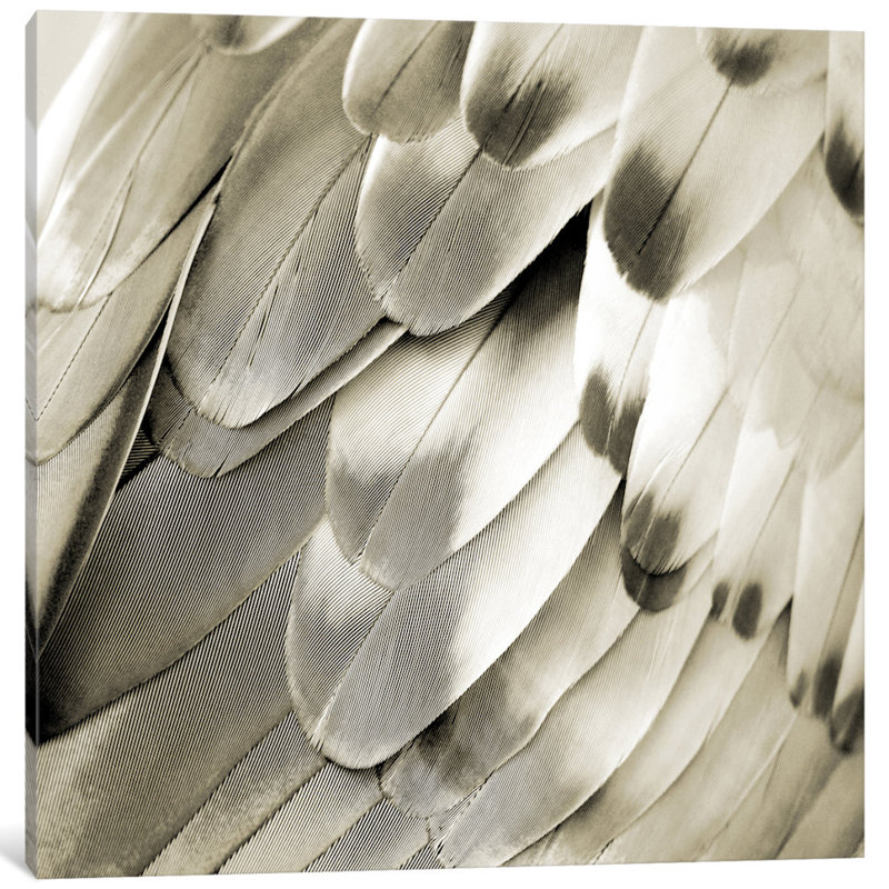 «Feathered Friend in Pearl IV», reproduction de photo sur toile, H 26 po x l 26 po x P 1,5 po