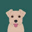 Norfolk terrier, impression sur toile tendue-19741903-74756423-74756424