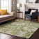 Premium Machine Washable Cerrito AMF551 Aloe Rug