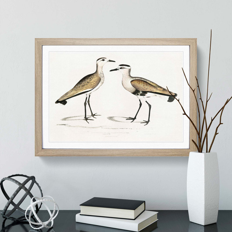 Two Sandpiper Birds by John Edward Gray - Picture Frame Painting Print, 36cm H x 48cm W x 2cm D, Oak Framed
