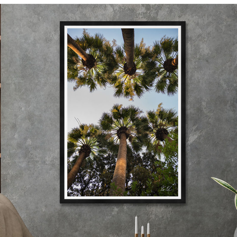 Athènes Palm II, Noir, H 42 po x l 29 po x P 1,5 po, Lustre photo encadré