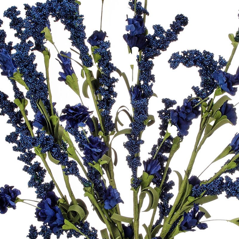 22 po Clover Berry Bush, Bleu