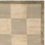 Tibetan Shag Green/Beige Area Rug-1249449649