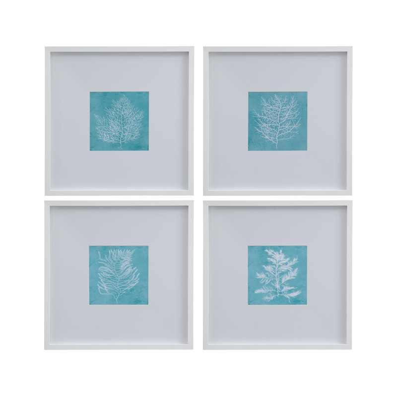 Corail blanc sur bleu, ensemble de 4 reproductions encadrées