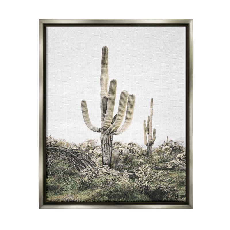 «Desert Landscape Cacti», art mural encadré par Sissi et Seb, H 31 po x l 25 po x P 1,7 po, Cadre flottant gris lustré