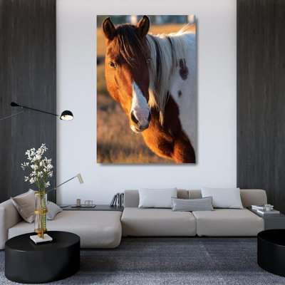 Hokku Designs Theodore, George Gallery Wrapped Canvas Art Titled: Assateague Island, pony