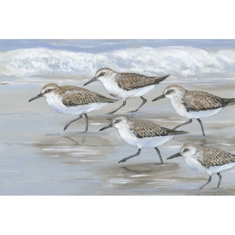 Sandpipers I par Timothy O 'Toole - Toile tendue haletante, H 20 po x l 30 po