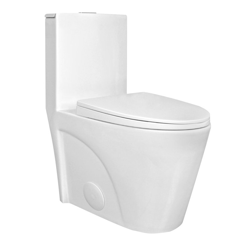 Ace 1.6 GPF Dual-Flush Toilet Modern Elongated One-Piece Toilet for Floor Mounted Glazed Surface (Seat Included), White, 10"