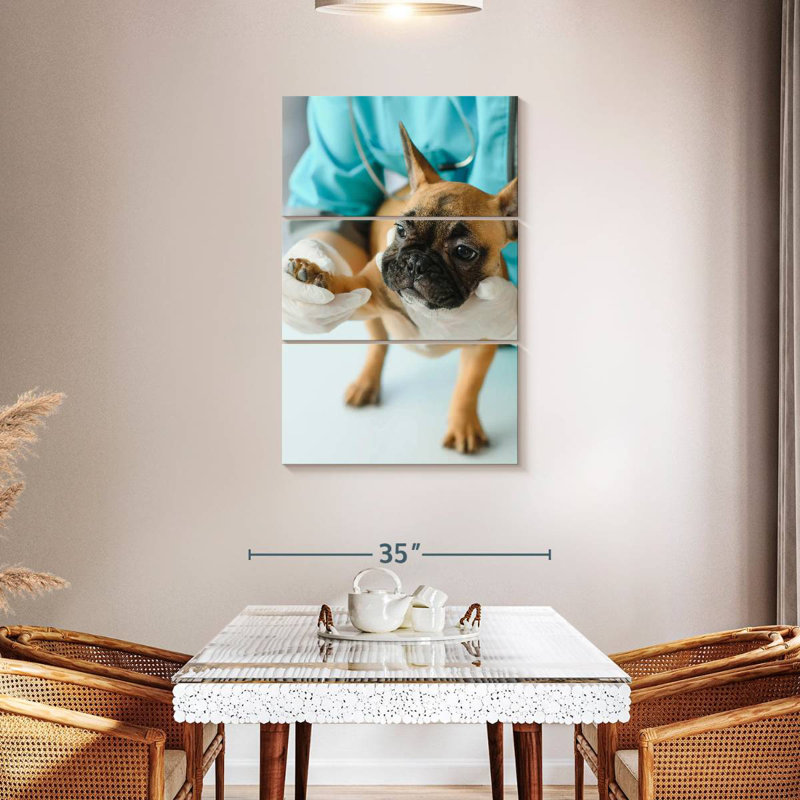 Brampt Pet Care, H 23 po x l 14 po