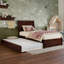 Lit gigogne en bois massif Avdesh-17206720-17206589
