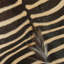 Zebra Hide Large Round