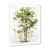 Cadre simple blanc