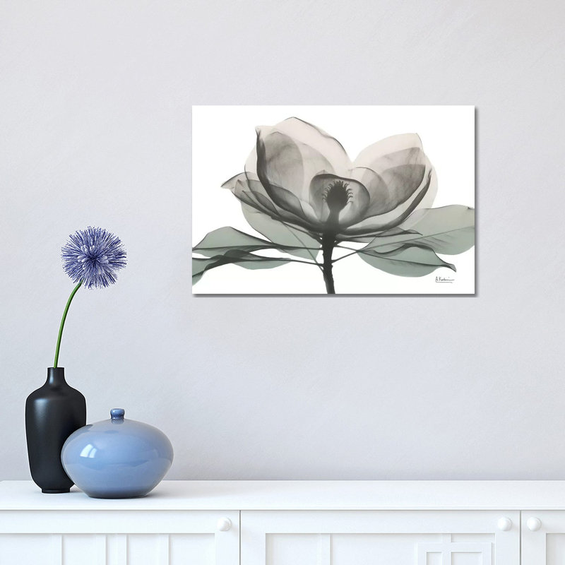 «Sage Magnolia I» par Albert Koetsier - reproduction, H 12 po x l 18 po x 1,5 po