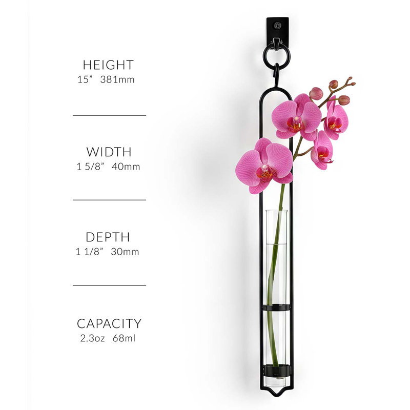 Callender Recycled Glass Wall Hanging Propagation Vase & Single Stem Pendant with Metal Hook (16.5"), 1 piece