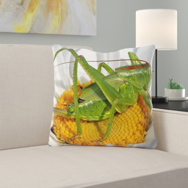 Coussin sauterelle nymphe