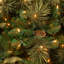 Carolina Flocked/Frosted Christmas Tree-1687330706